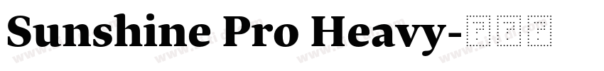 Sunshine Pro Heavy字体转换